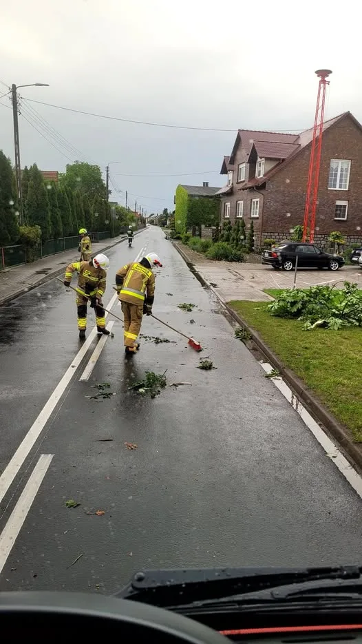 OSP Potrzebowo usunęła połamane gałęzie z jezdni