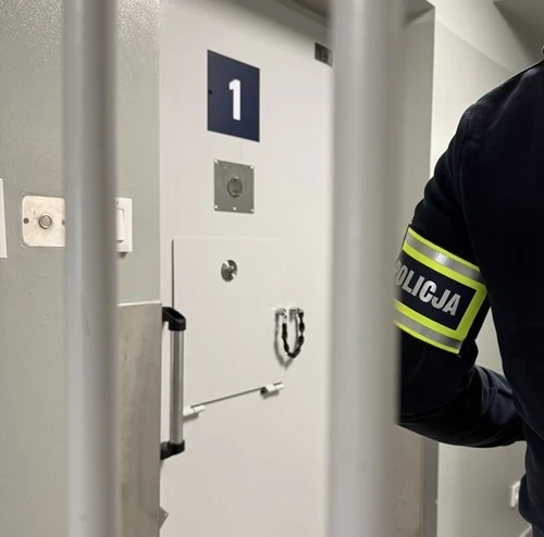 Znęcał się nad żoną i córką. 50-latek z powiatu gostyńskiego zatrzymany
