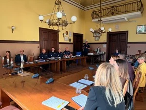 Przemoc domowa i „Niebieskie Karty" – spotkanie w Gostyniu — zdjęcie 7