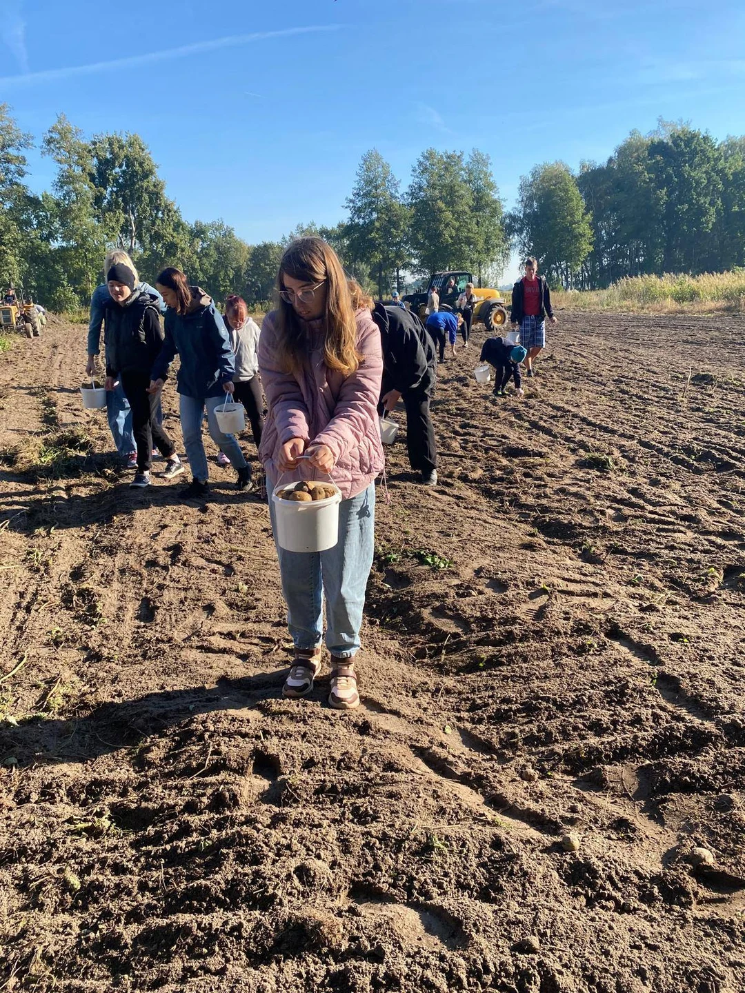 Uczniowie na wykopkach w Tarnowej Łące – lekcja tradycji w terenie