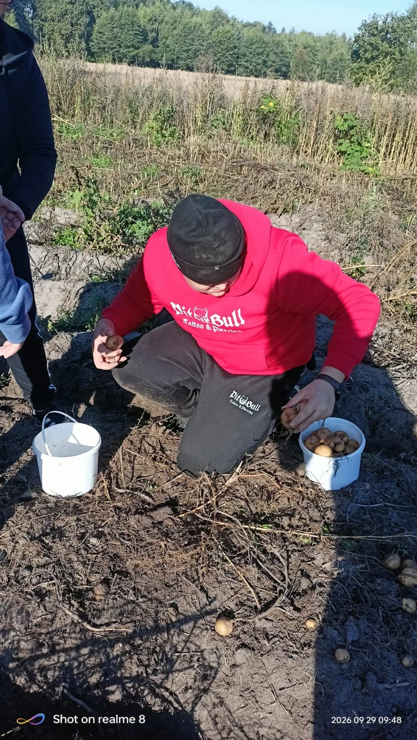 Uczniowie na wykopkach w Tarnowej Łące – lekcja tradycji w terenie — zdjęcie 15
