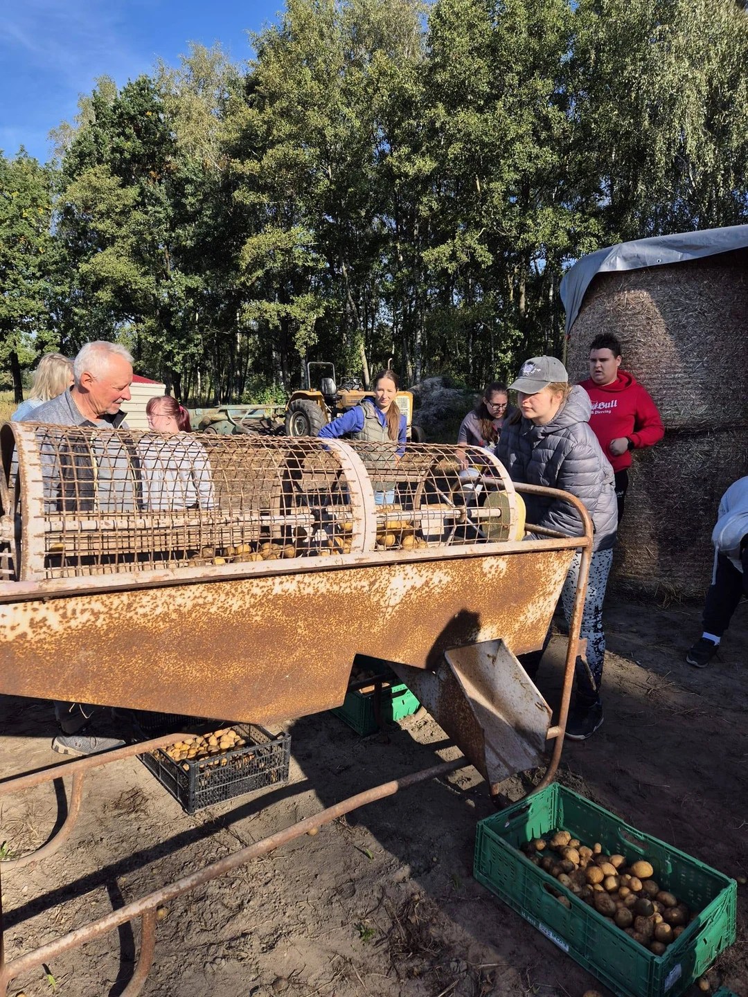 Uczniowie na wykopkach w Tarnowej Łące – lekcja tradycji w terenie — zdjęcie 27