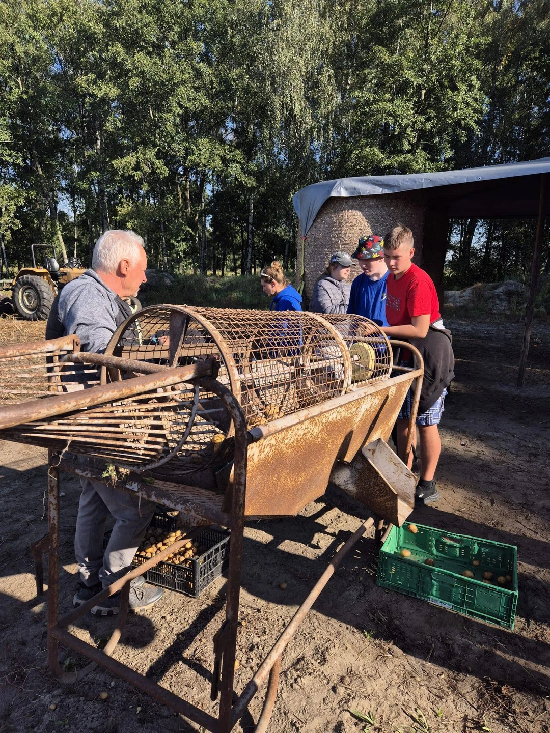 Uczniowie na wykopkach w Tarnowej Łące – lekcja tradycji w terenie — zdjęcie 28