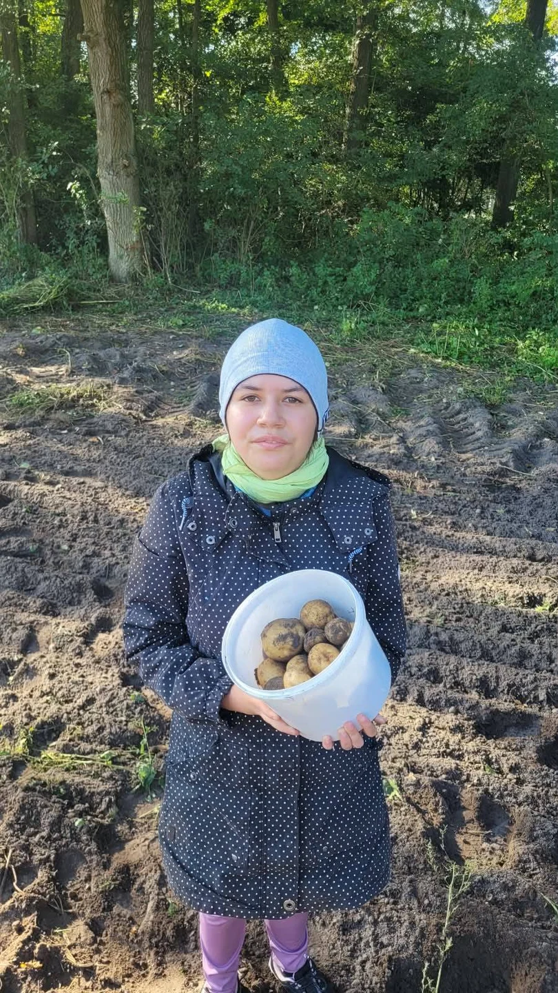 Uczniowie na wykopkach w Tarnowej Łące – lekcja tradycji w terenie — zdjęcie 32