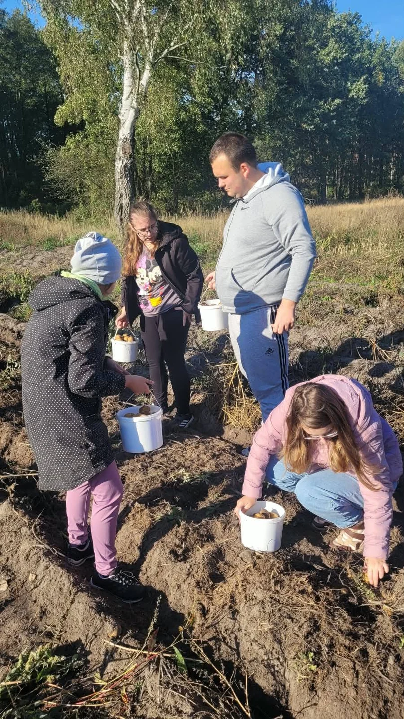Uczniowie na wykopkach w Tarnowej Łące – lekcja tradycji w terenie — zdjęcie 45