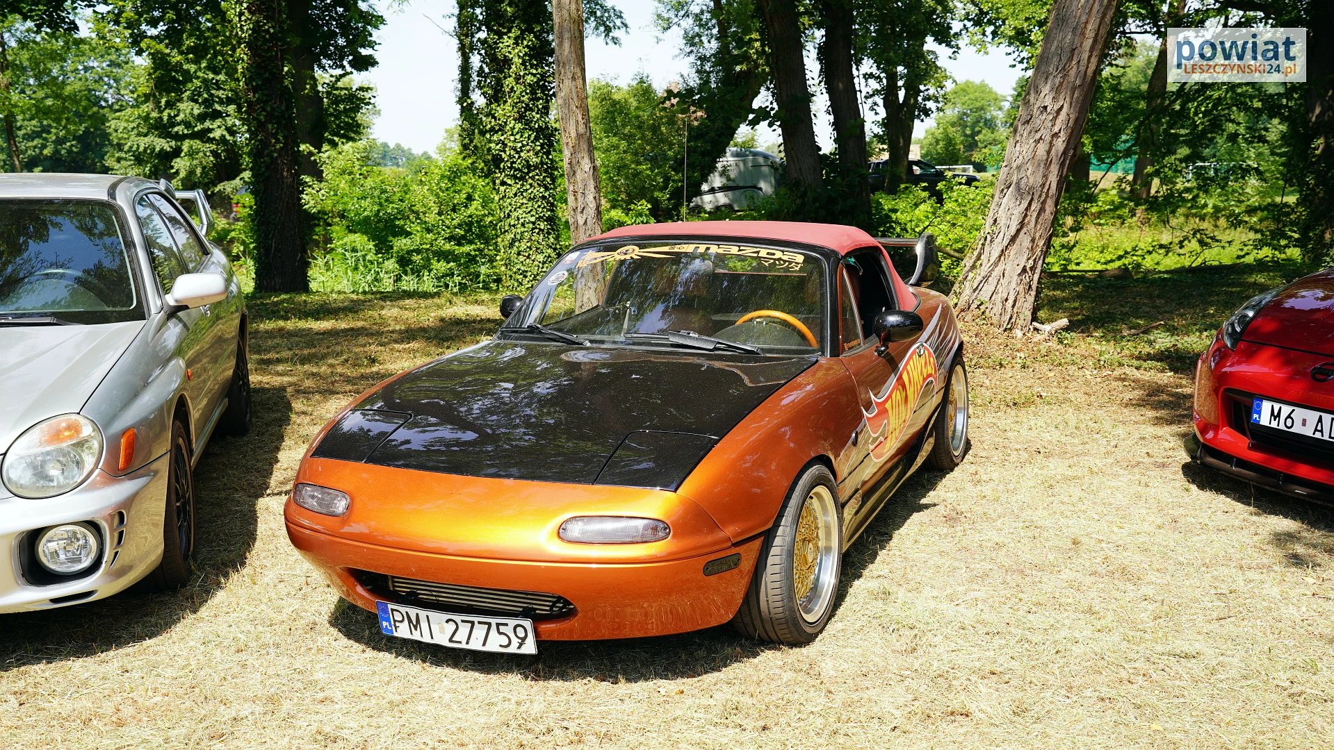 Zdjęcie 43