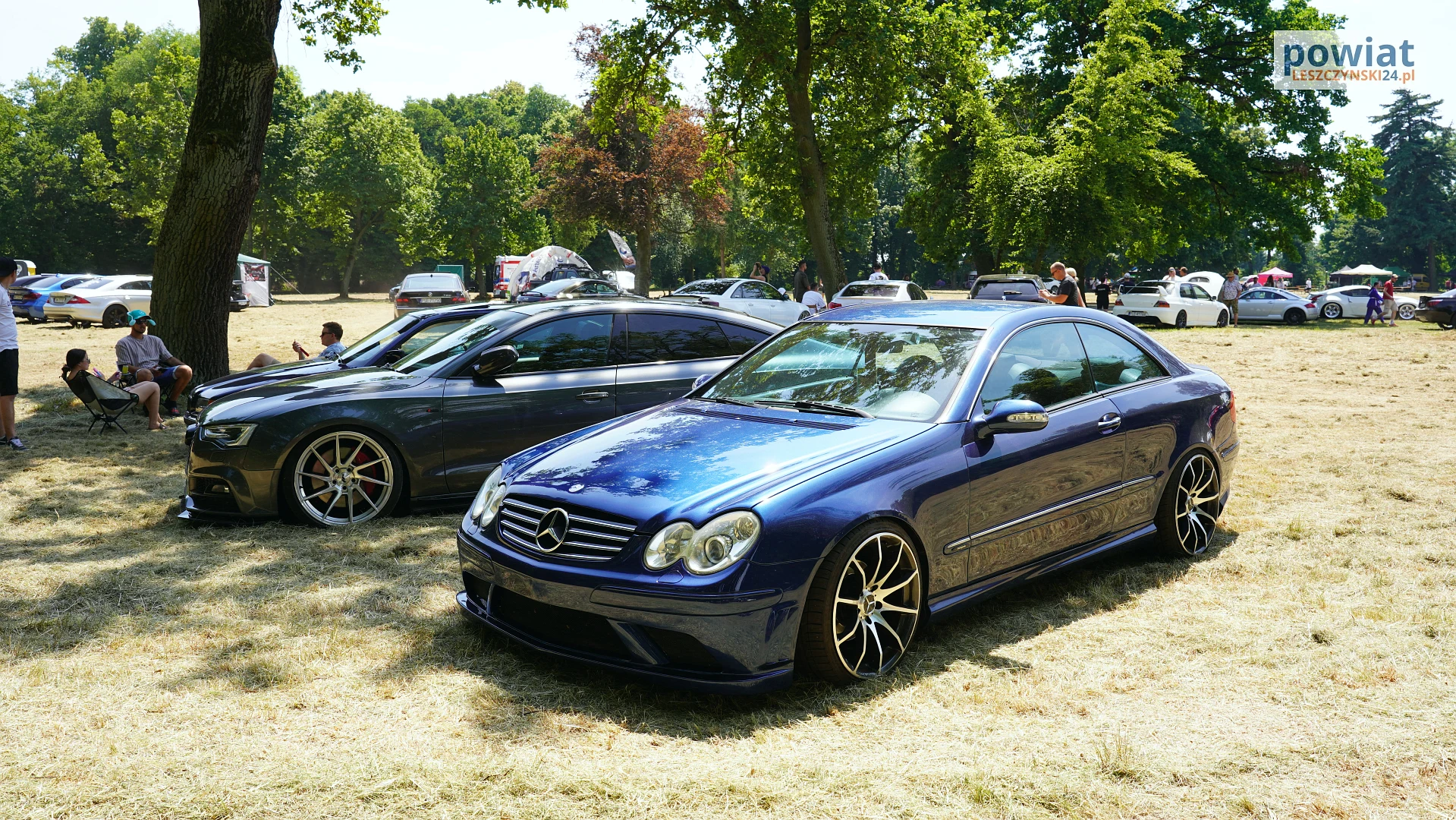 Zdjęcie 45