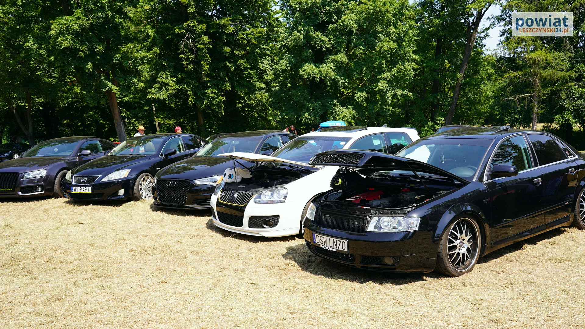 Zdjęcie 60