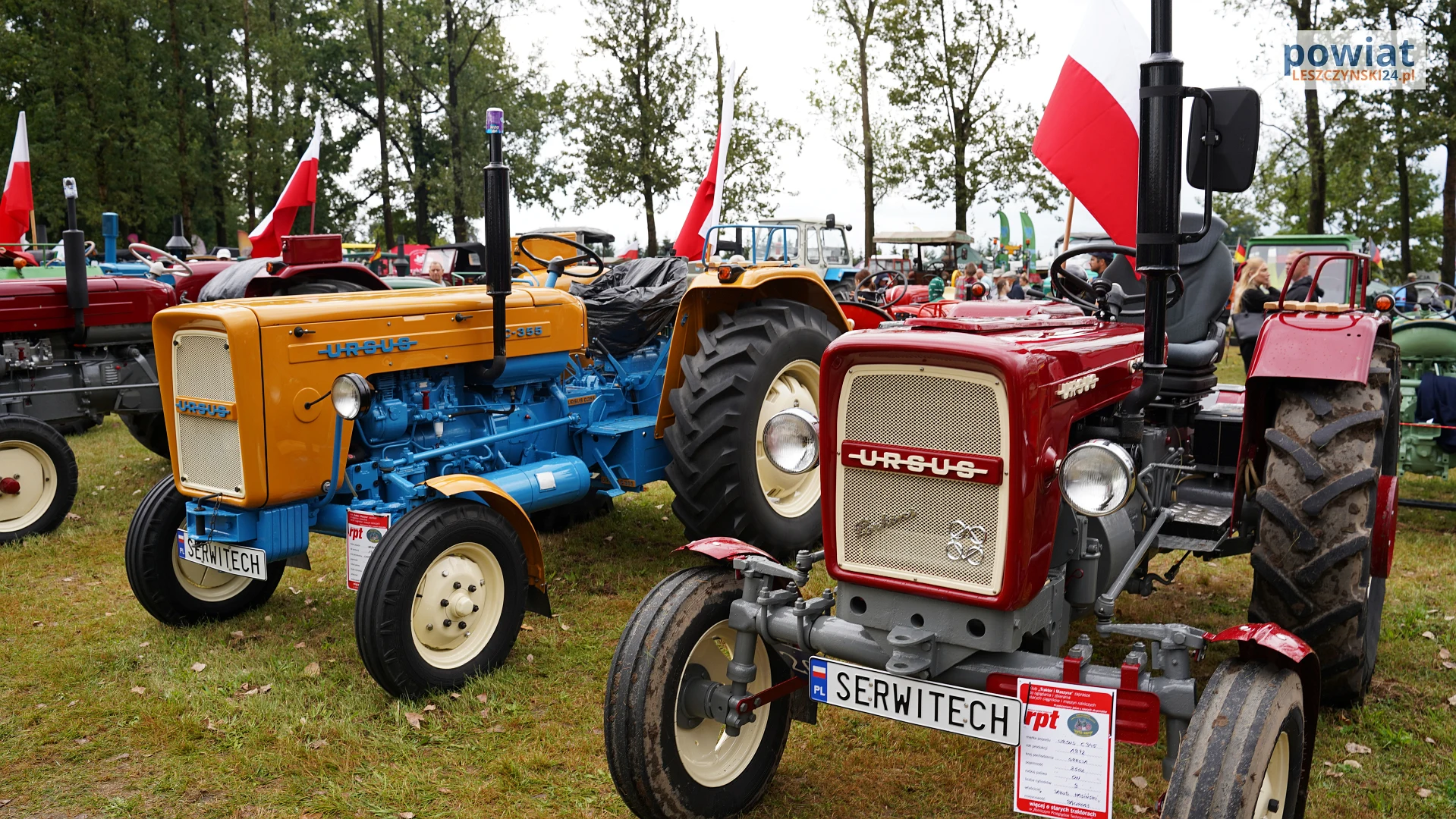 Zdjęcie 12
