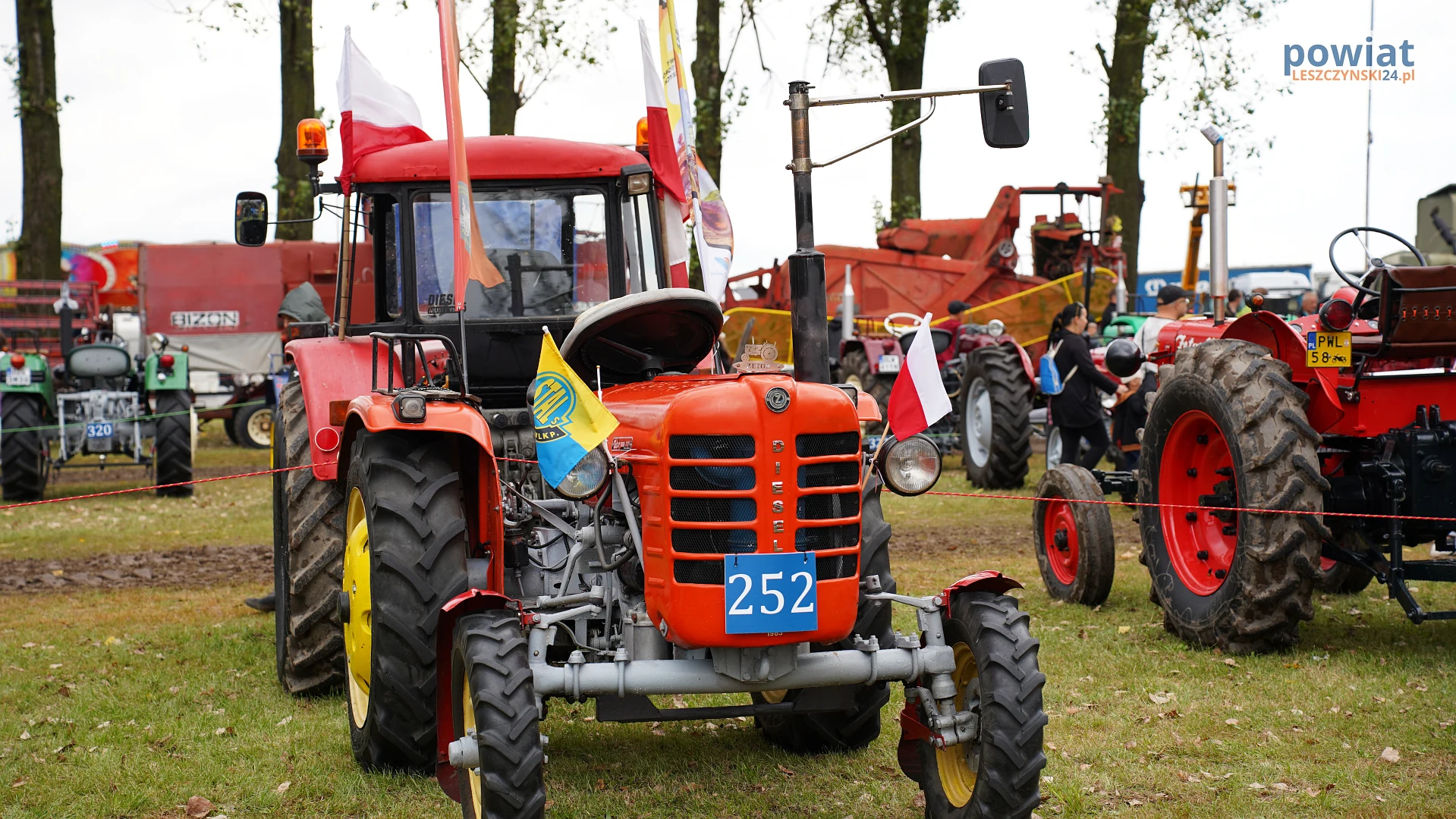 Zdjęcie 18