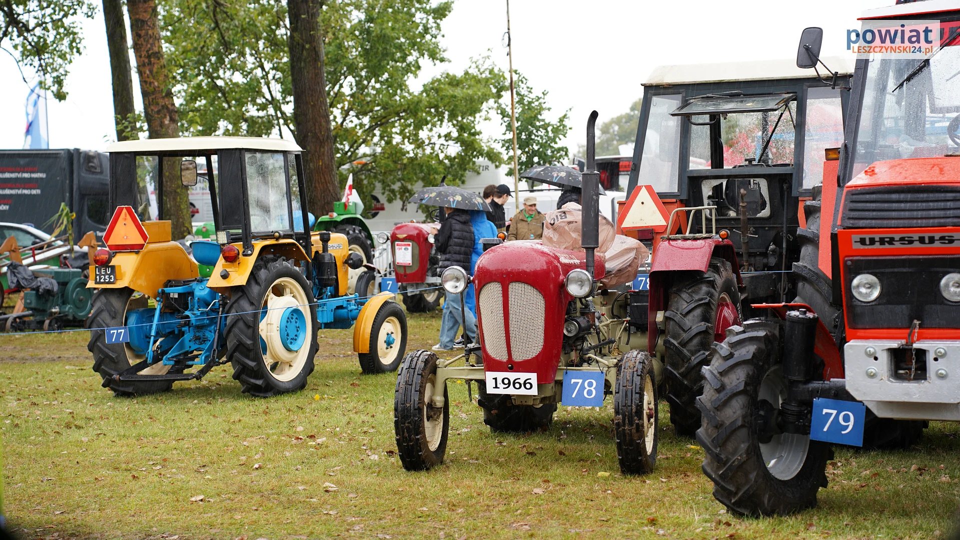Zdjęcie 76