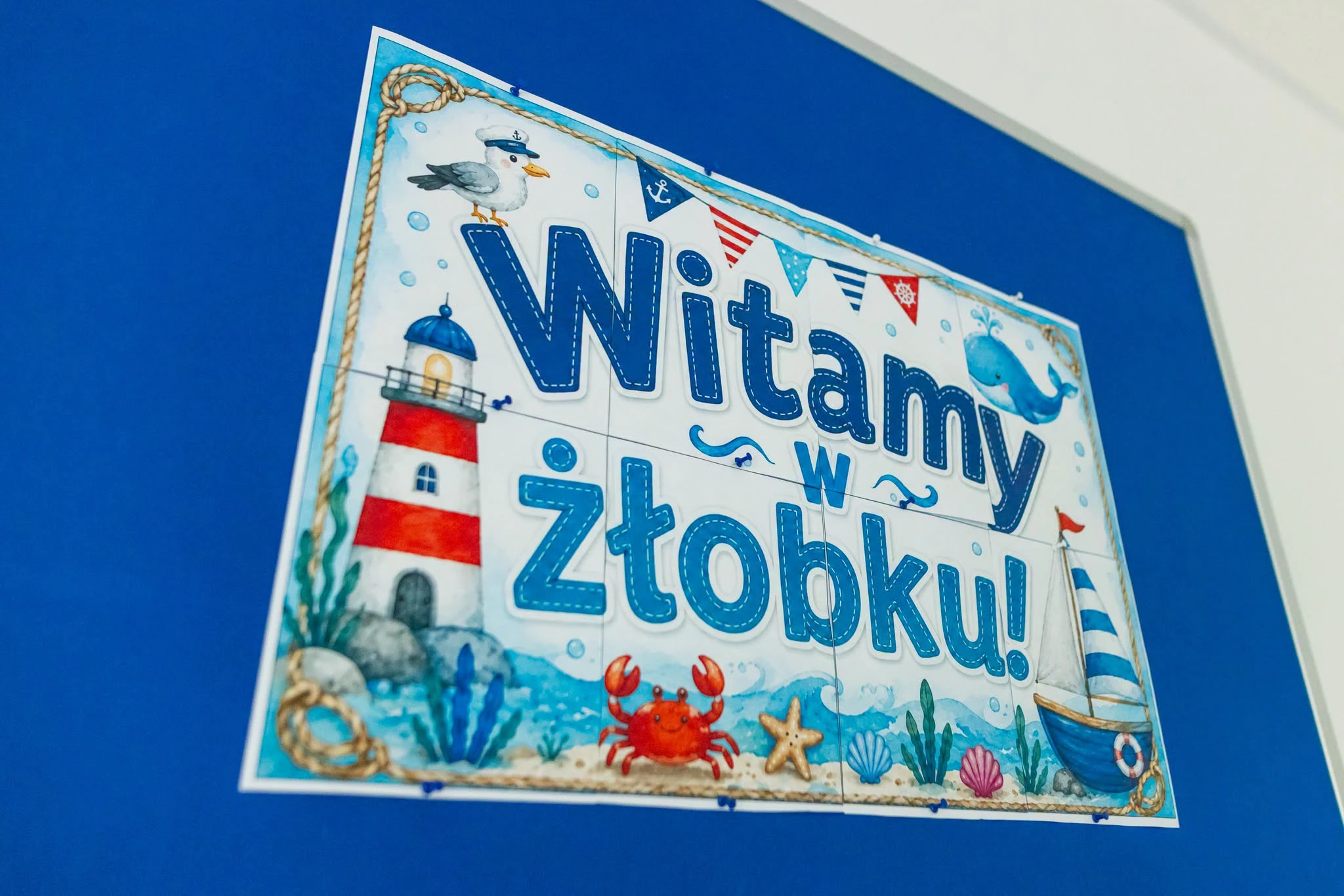 Zdjęcie 30