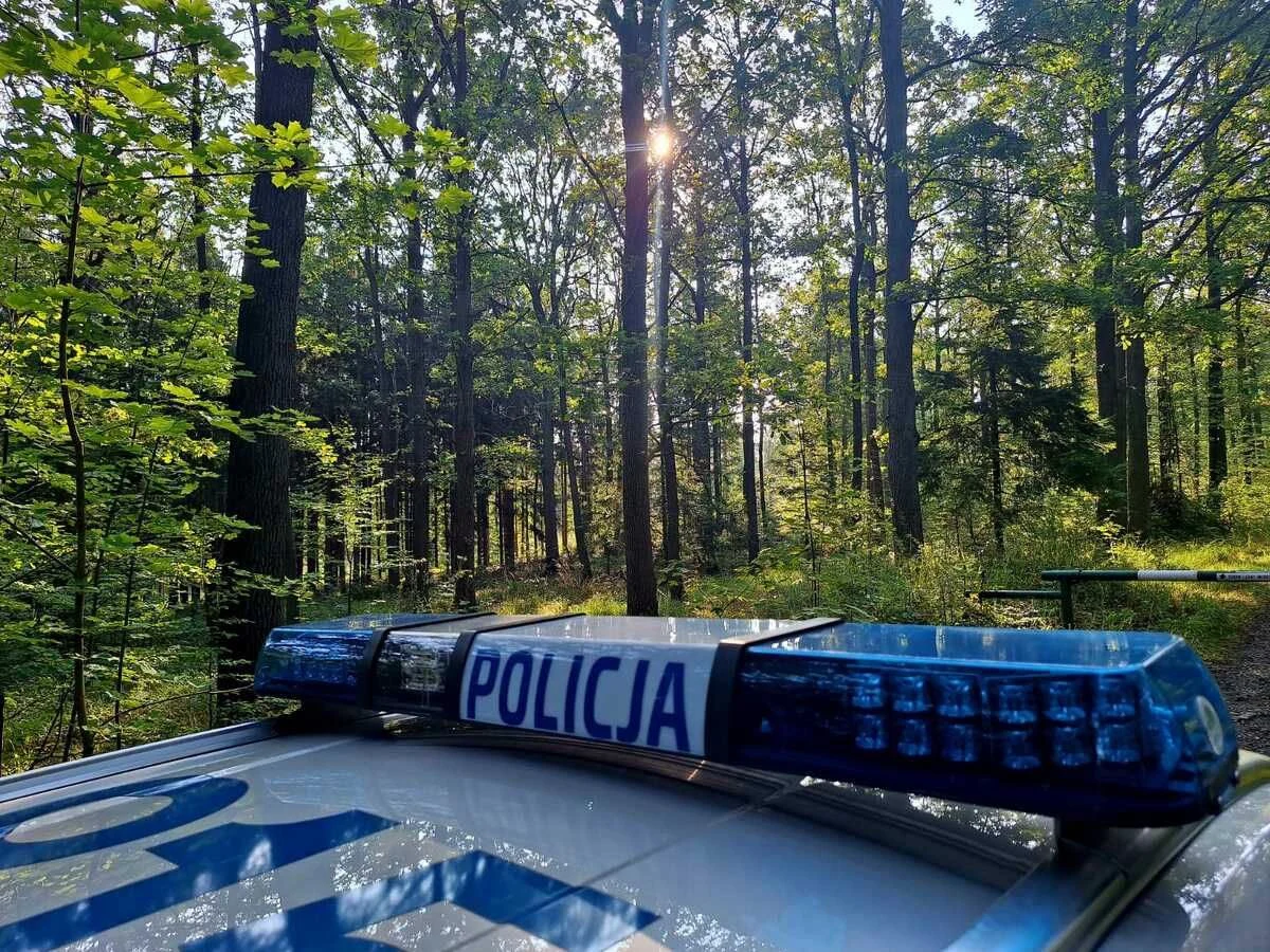 Bezpieczne grzybobranie. Policja przypomina o zasadach w lesie