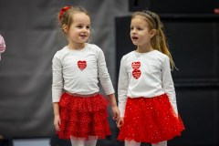 34.-Final-Wielkiej-Orkiestry-Swiatecznej-Pomocy-w-Wilkowicach-00009