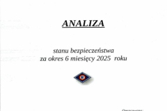 Analiza-stanu-bezpieczenstwa-w-powiecie-leszczynskim-001