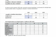 Analiza-stanu-bezpieczenstwa-w-powiecie-leszczynskim-003