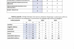 Analiza-stanu-bezpieczenstwa-w-powiecie-leszczynskim-008