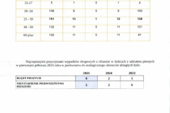 Analiza-stanu-bezpieczenstwa-w-powiecie-leszczynskim-009