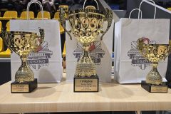 Charytatywny-turniej-pilkarski-policji-w-Lesznie-0028