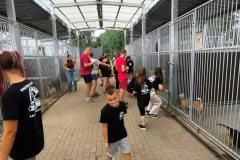 Family-Cars-Leszno-z-charytatywnym-zlotem-006