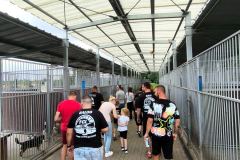 Family-Cars-Leszno-z-charytatywnym-zlotem-009