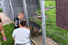 Family-Cars-Leszno-z-charytatywnym-zlotem-018