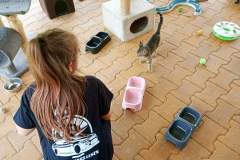 Family-Cars-Leszno-z-charytatywnym-zlotem-033