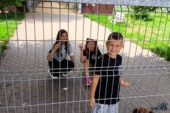 Family-Cars-Leszno-z-charytatywnym-zlotem-035