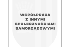 raport-gmina-lipno-038