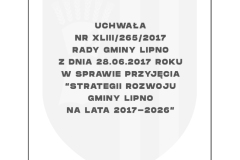 raport-gmina-lipno-066