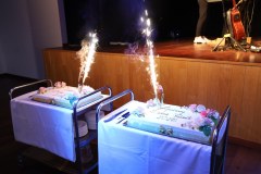 Gmina-Osieczna-00003