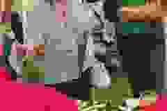 508116924_1142580511230432_8545954713623553362_n