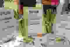 508180535_1142579344563882_5035970070798103948_n