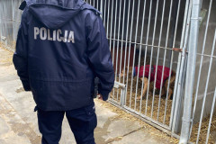 Kontrola-schroniska-w-Henrykowie-00002