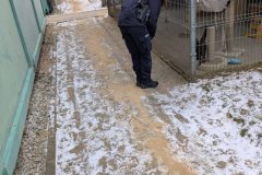 Kontrola-schroniska-w-Henrykowie-00003