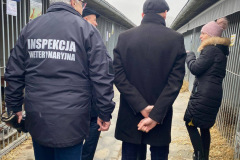 Kontrola-schroniska-w-Henrykowie-00007