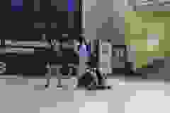 657352418_922741003946521_3604224827683179633_n