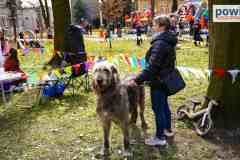 piknik-wielkanocny-leszno-00011