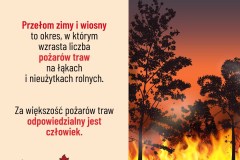 Pozary-traw-stanowia-powazne-zagrozenie-010