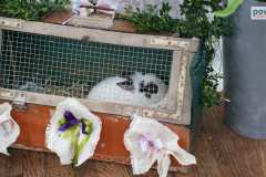 jarmark-wielkanocny-lipno-00020