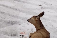 629072547_1523528659775634_5282041444840373624_n