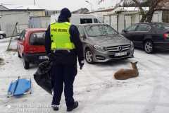 629222000_1523528666442300_369050800404873116_n