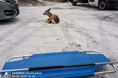 629510821_1523528683108965_4480153349288934432_n