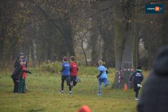 bieg-niepodleglosci-2025-rydzyna-167