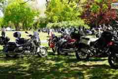 rydzyna-zlot-motocyklowy-piknk-dla-malej-rozy-000097