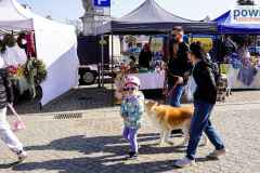 jarmark-rydzyna-00023