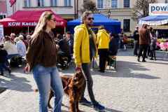 jarmark-rydzyna-00071