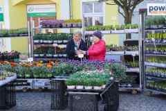 jarmark-rydzyna-00088