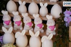 jarmark-rydzyna-00094