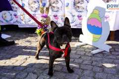 jarmark-rydzyna-00101